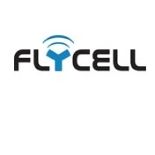 移动媒体公司 Flycell 第二季度销售额增长 95% 至 3700 万美元